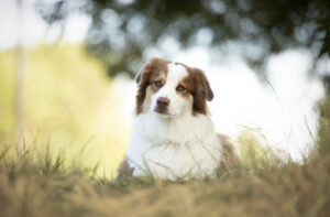 img 3097 hd 1