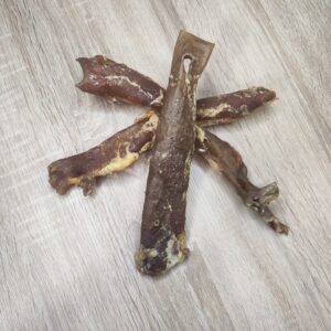 aorte de cheval