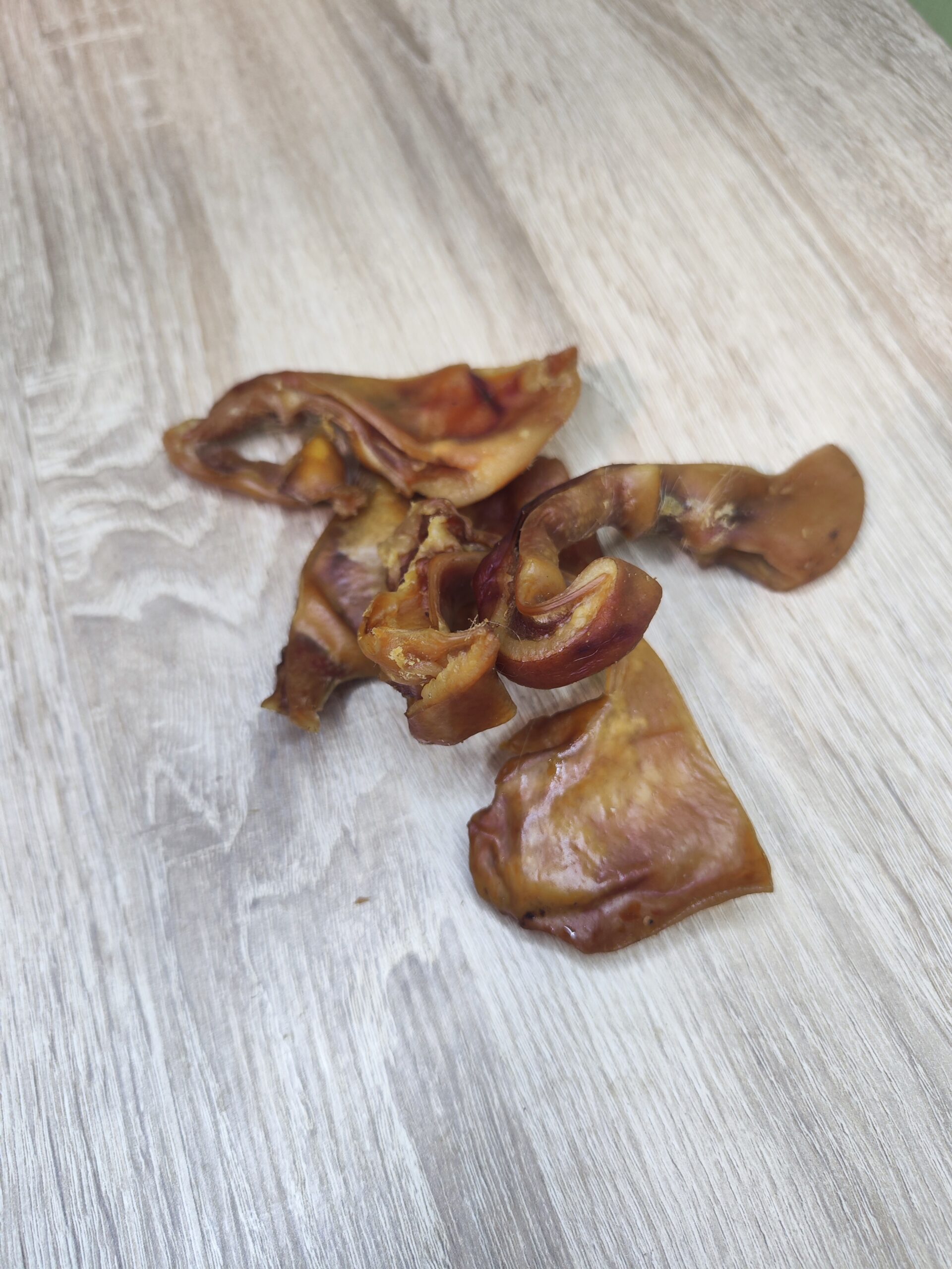 oreilles de proc en lanieres oreilles de proc en lanieres