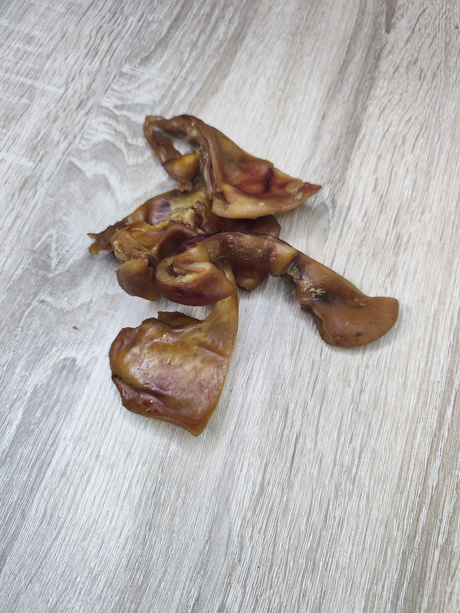 oreilles de proc en lanieres oreilles de proc en lanieres