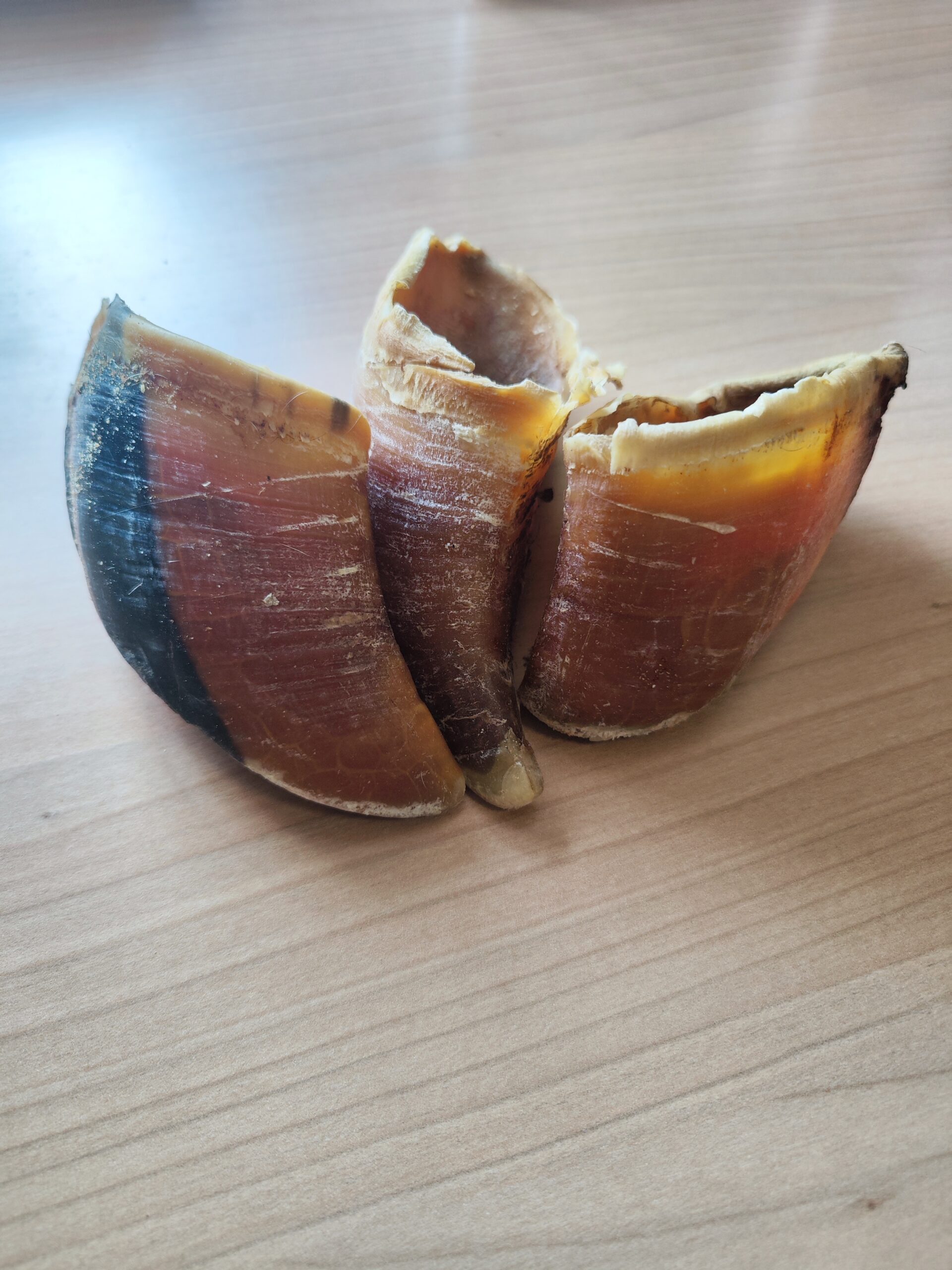 sabot de boeuf sabot de boeuf