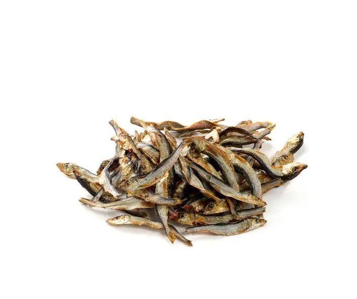 sprat de la baltique sprat de la baltique