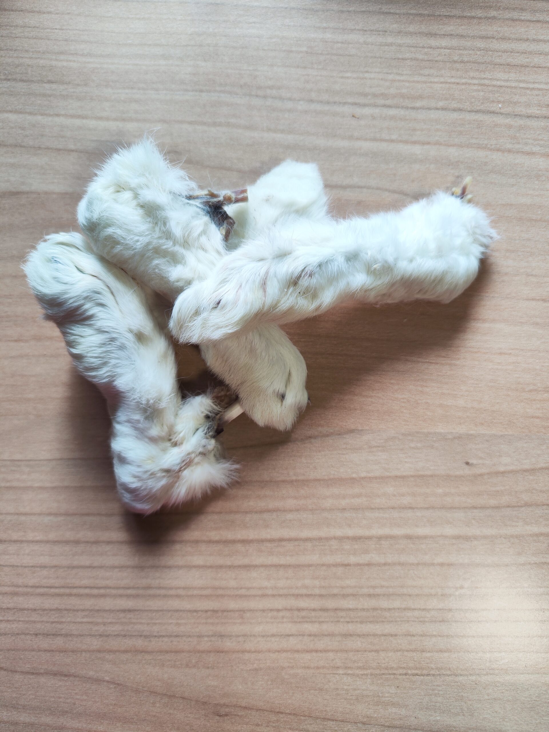 patte de lapin avec fourrure patte de lapin avec fourrure