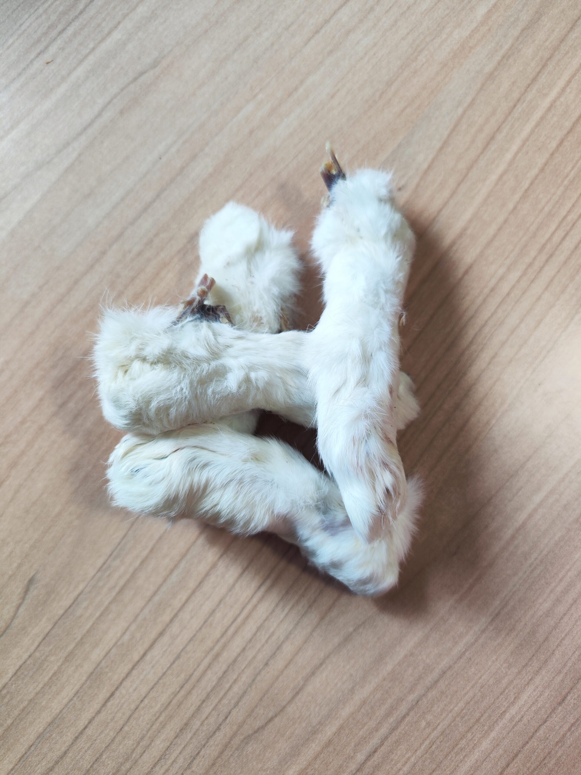 patte de lapin avec fourrure patte de lapin avec fourrure