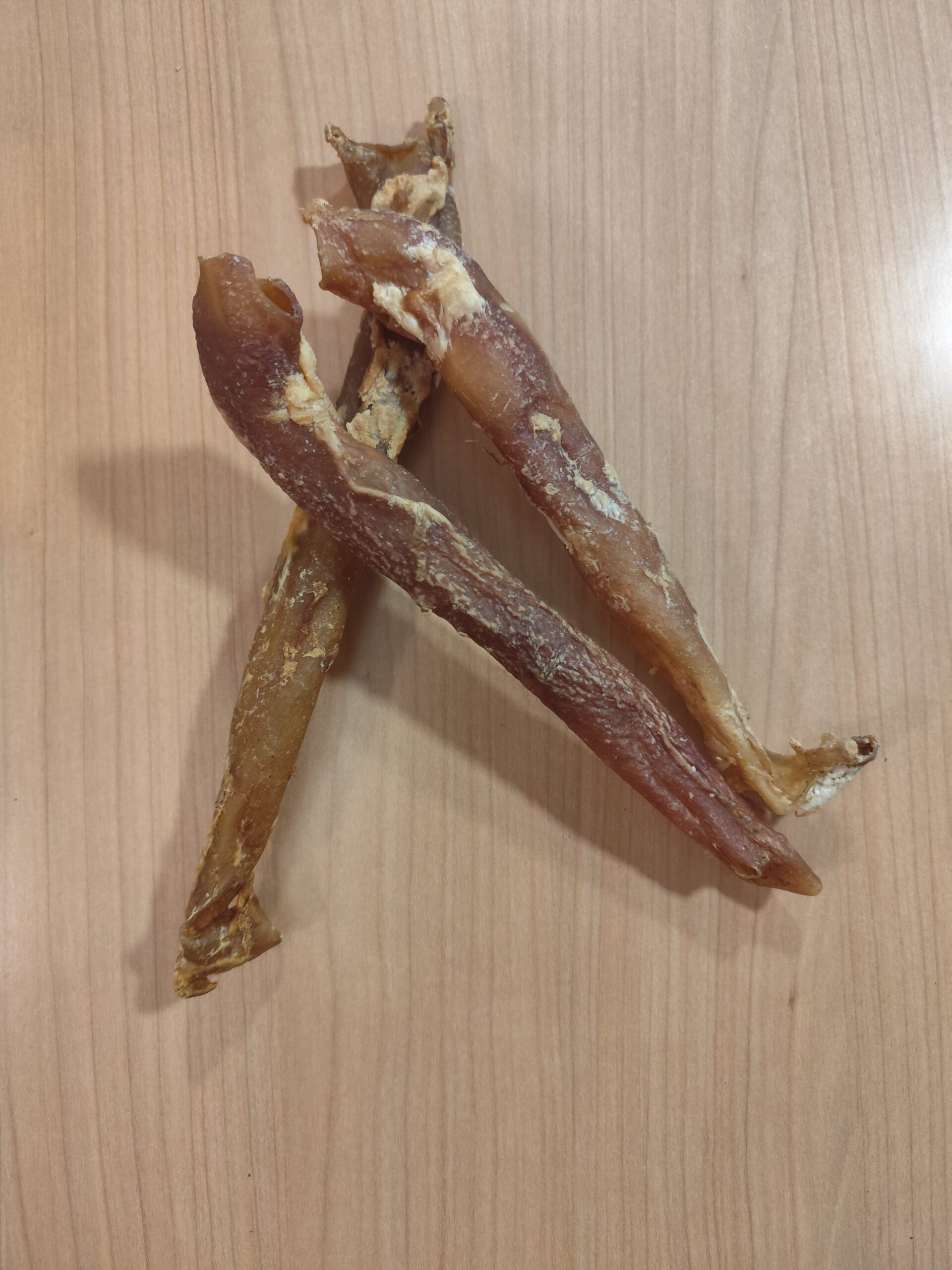 aorte de buffle aorte de buffle