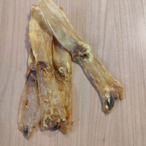 oreille de lapin sans poils