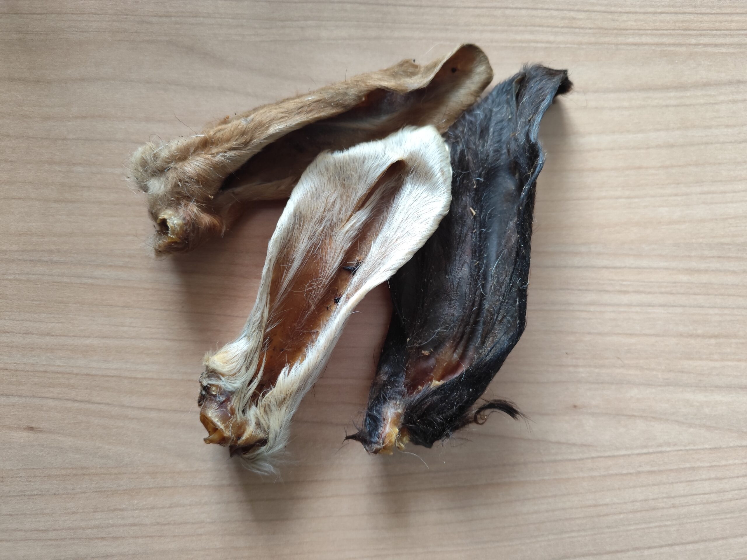 oreille de chèvre oreille de chèvre