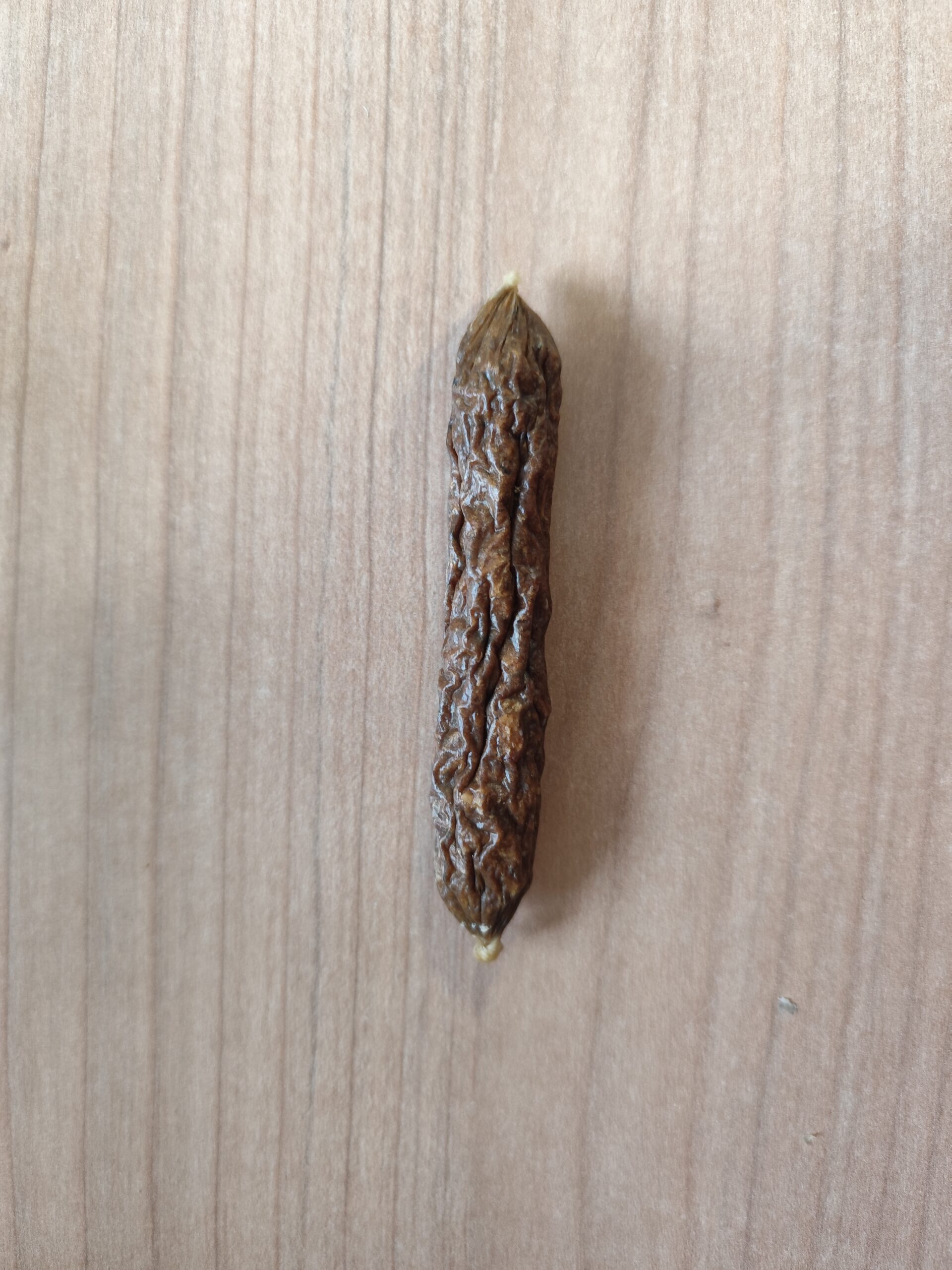 saucisson de porc saucisson de porc