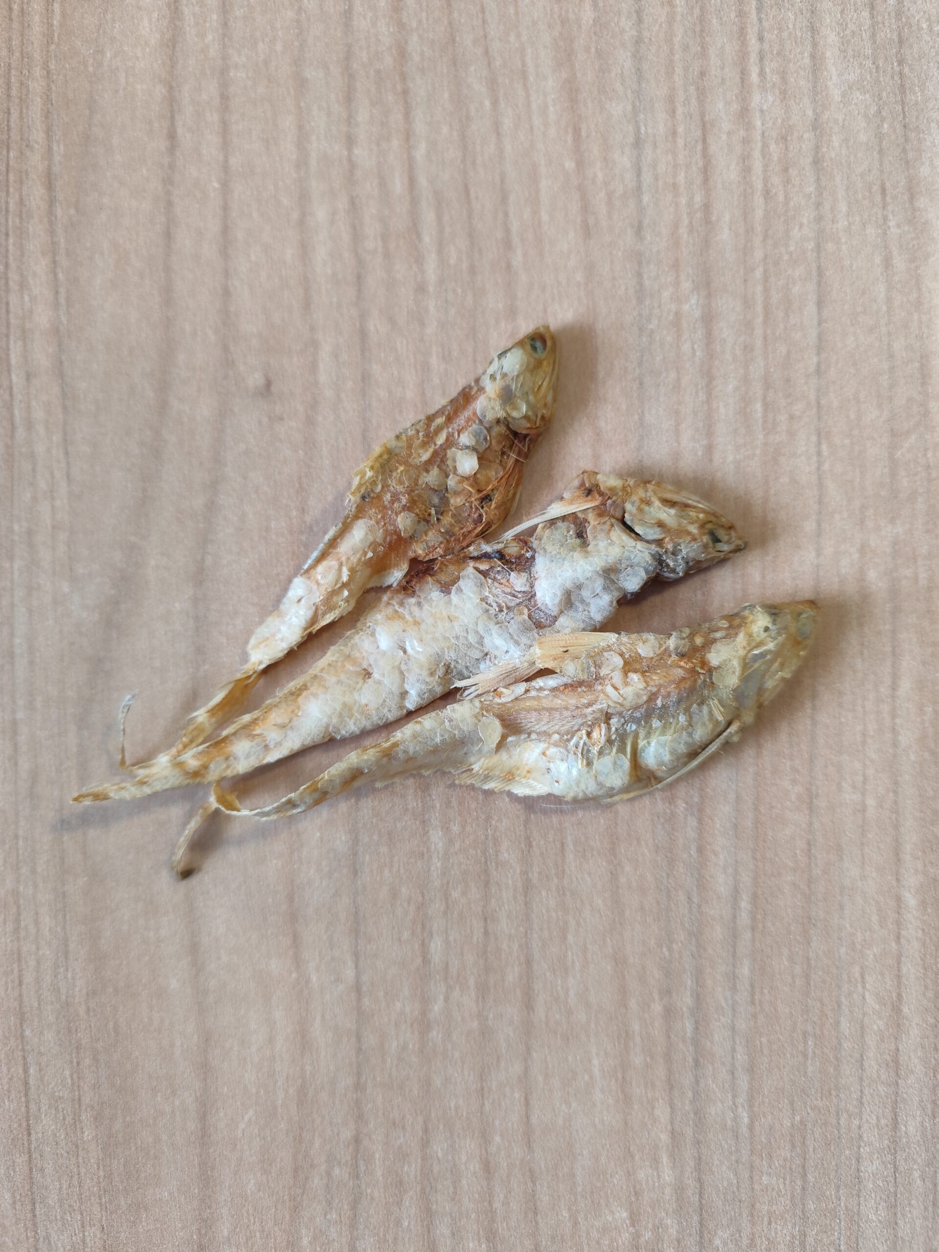 cou de canard cou de canard