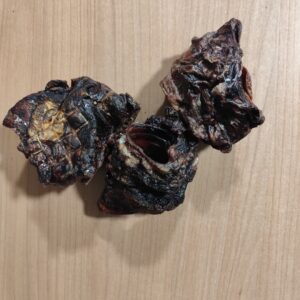 larynx de boeuf